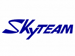 SKYTEAM